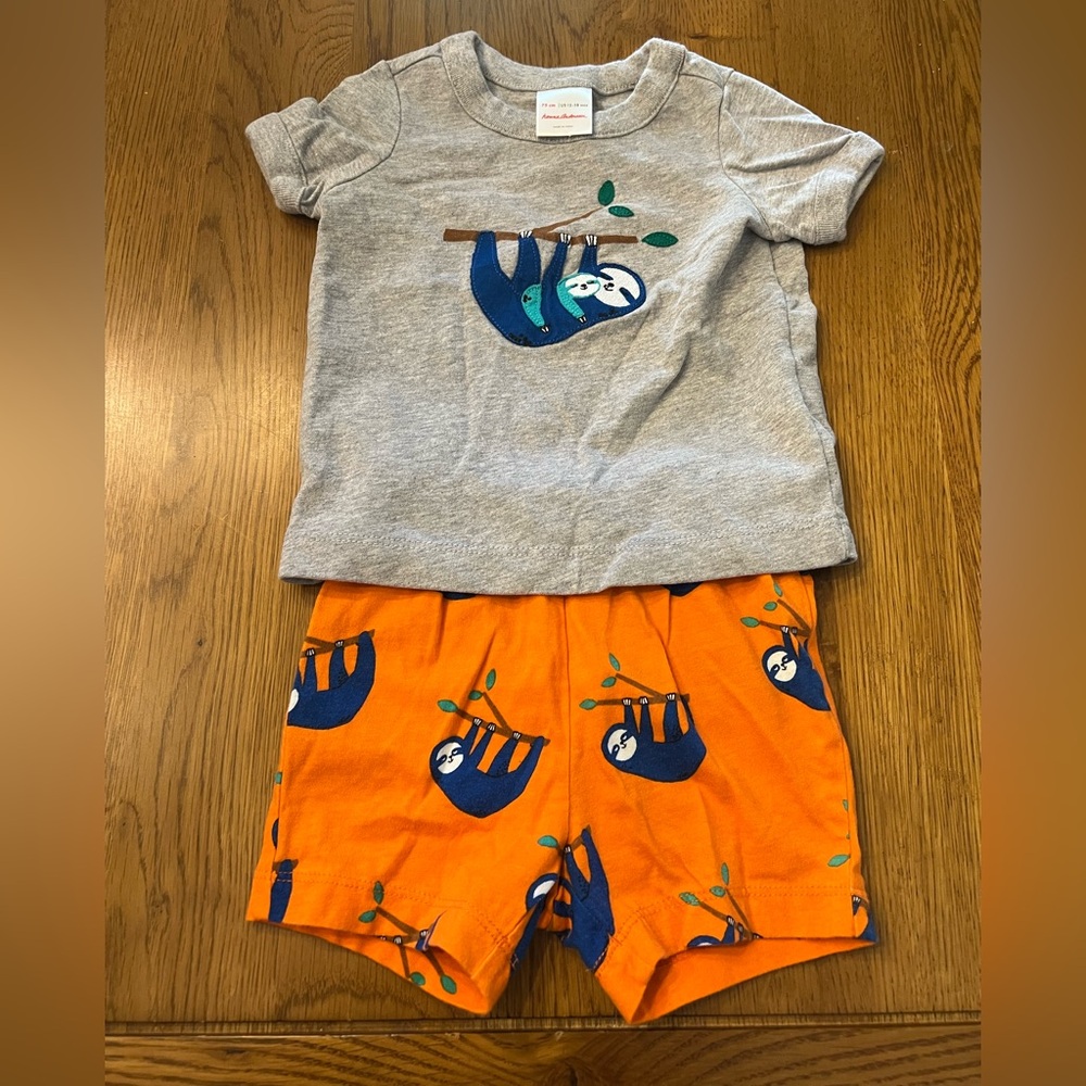 Hanna Andersson Shorts & T Shirt Set